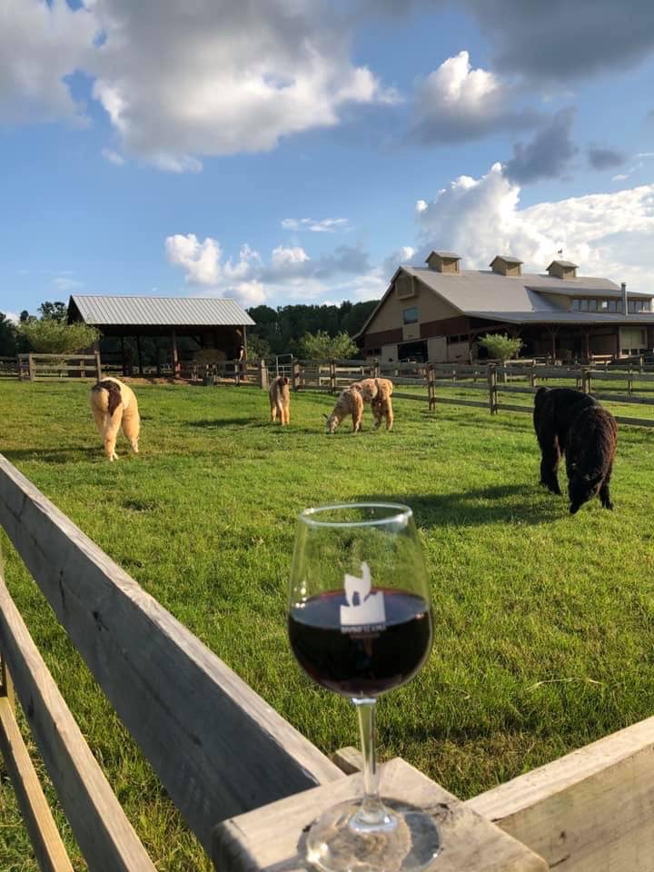 Llama winery outlet